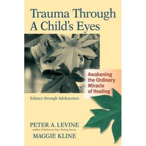 trauma-through-a-childs-eyes-awakening-the-ordinary-miracle-of-healing_2481617
